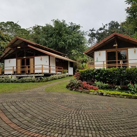 Cielo Verde Lodge Mashpi Esterno foto