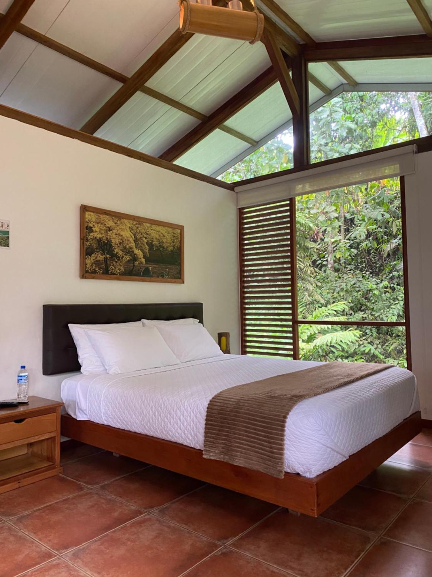 Cielo Verde Lodge Mashpi Esterno foto