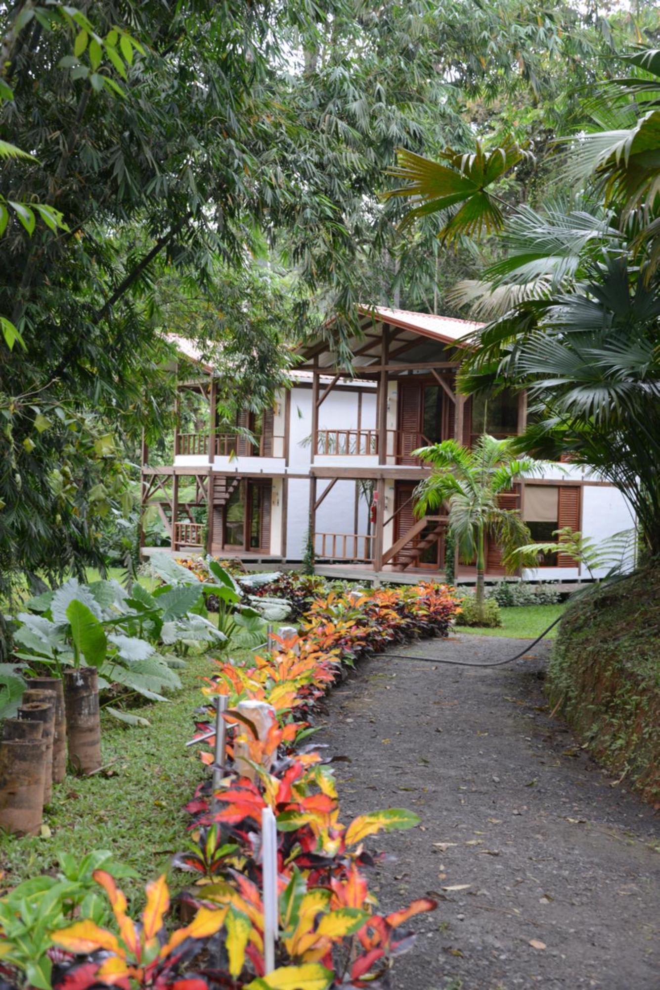 Cielo Verde Lodge Mashpi Esterno foto